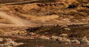 65分钟——利兹联1比1曼联